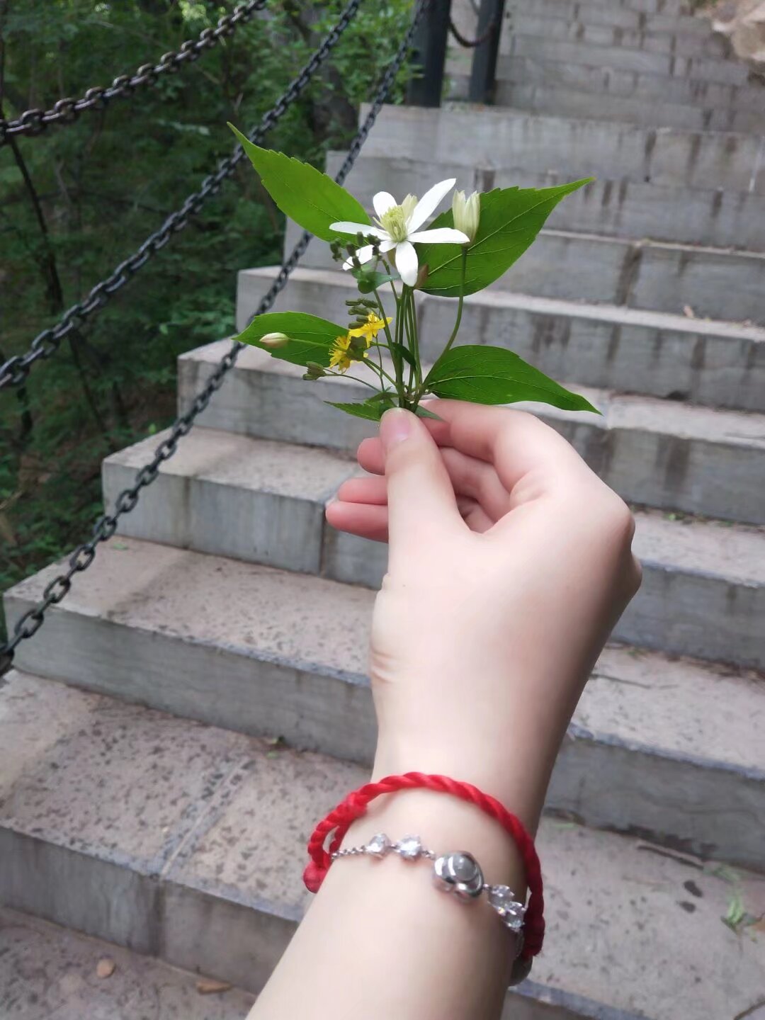 和你的家人一起